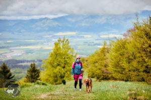 Dogtrekking Fatransky Vlcko 2021