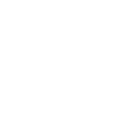 Art Hotel William