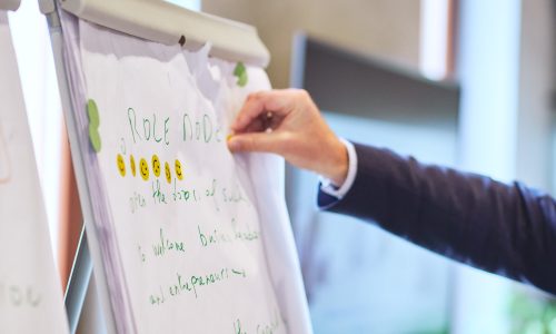 PeerLearningWS_Budapest_0399